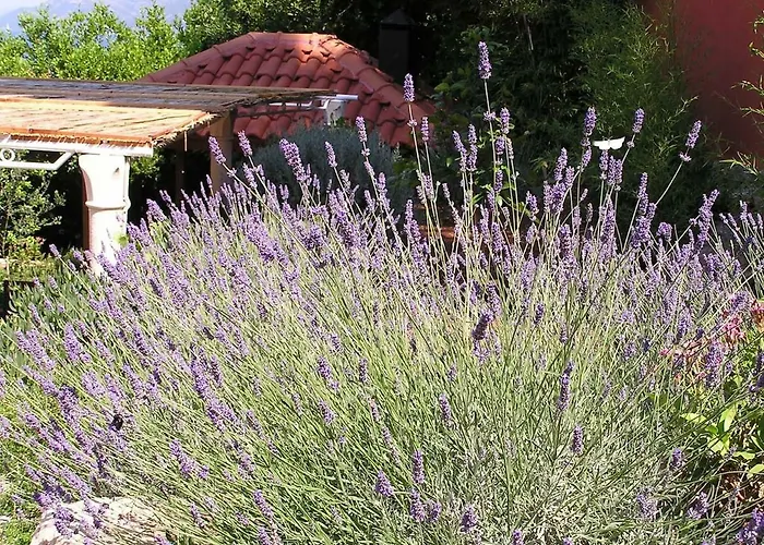 Apartamento Esperanza *